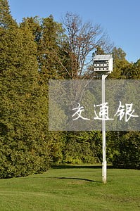 交通银行信用卡逾期2万