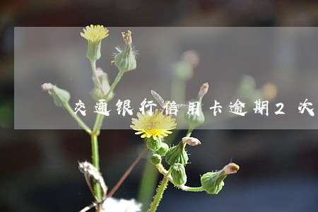 交通银行信用卡逾期2次 交通银行信用卡逾期2次