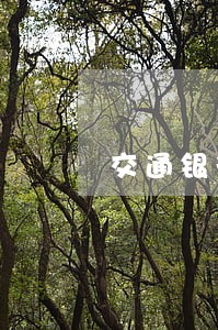 交通银行信用卡逾期368元