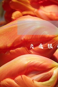 交通银行信用卡逾期5500 交通银行信用卡逾期5500