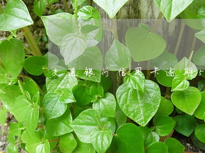 交通银行信用卡逾期5万以上