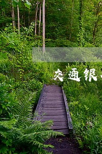 交通银行信用卡逾期5万怎么办 交通银行信用卡逾期5万怎么办