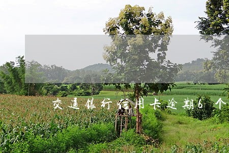 交通银行信用卡逾期6个月后果 交通银行信用卡逾期6个月后果