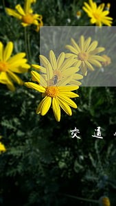 交通银行信用卡逾期6次上征信