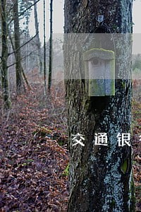 交通银行信用卡逾期8年6 交通银行信用卡逾期8年6