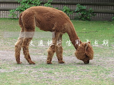 交通银行信用卡逾期一两天撤销 交通银行信用卡逾期一两天撤销