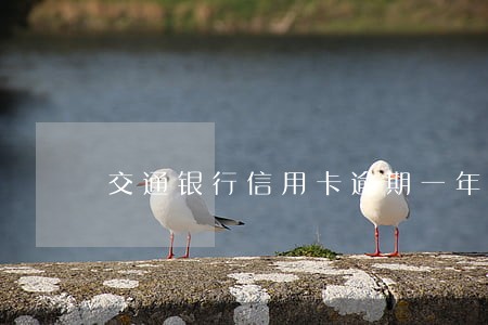 交通银行信用卡逾期一年利息 交通银行信用卡逾期一年利息