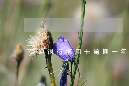 交通银行信用卡逾期一年怎么处理 交通银行信用卡逾期一年怎么处理