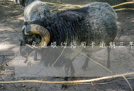 交通银行信用卡逾期三年没还