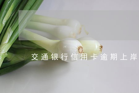 交通银行信用卡逾期上岸自救方法