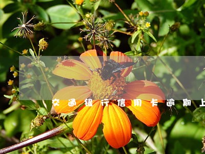 交通银行信用卡逾期上门塞纸条 交通银行信用卡逾期上门塞纸条