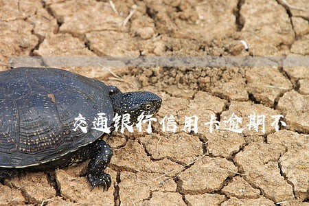 交通银行信用卡逾期不 交通银行信用卡逾期不