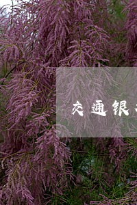 交通银行信用卡逾期专员 交通银行信用卡逾期专员