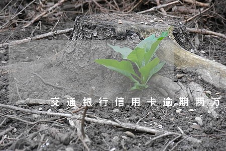 交通银行信用卡逾期两万多 交通银行信用卡逾期两万多