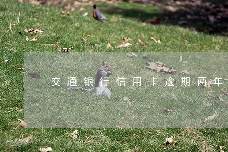 交通银行信用卡逾期两年