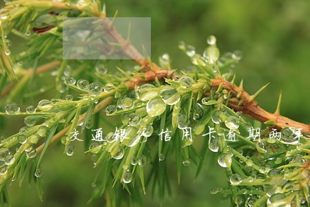 交通银行信用卡逾期两年还款 交通银行信用卡逾期两年还款