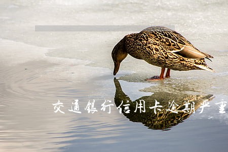 交通银行信用卡逾期严重吗