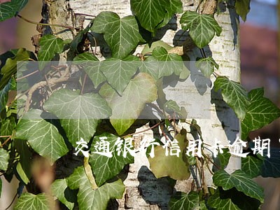 交通银行信用卡逾期了协商电话