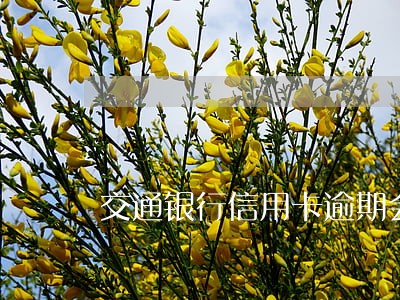 交通银行信用卡逾期会交滞纳金吗 交通银行信用卡逾期会交滞纳金吗