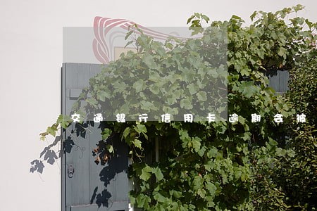 交通银行信用卡逾期会被封卡吗 交通银行信用卡逾期会被封卡吗