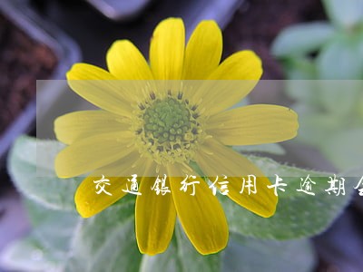 交通银行信用卡逾期会被结案吗 交通银行信用卡逾期会被结案吗