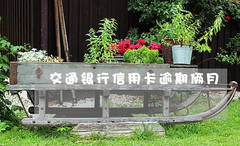 交通银行信用卡逾期俩月