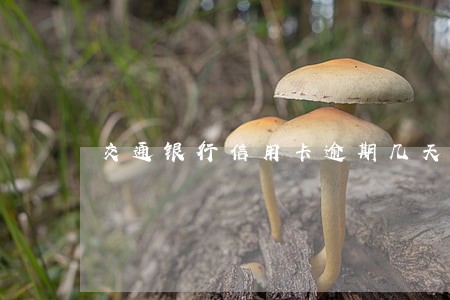 交通银行信用卡逾期几天会催款