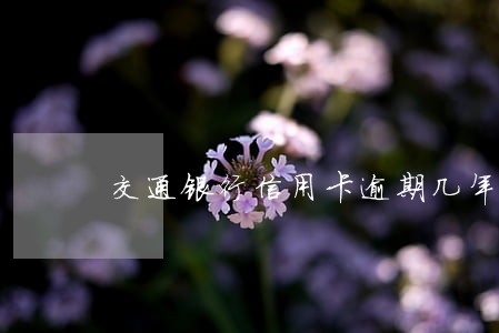 交通银行信用卡逾期几年已还完 交通银行信用卡逾期几年已还完