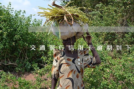 交通银行信用卡逾期到下个账单