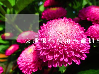 交通银行信用卡逾期半年会怎样 交通银行信用卡逾期半年会怎样