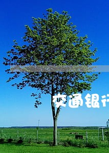 交通银行信用卡逾期协商可以吗