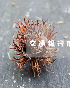 交通银行信用卡逾期协商还款 交通银行信用卡逾期协商还款