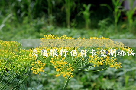 交通银行信用卡逾期协议还款 交通银行信用卡逾期协议还款