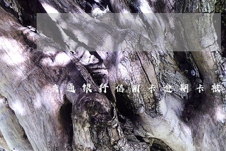 交通银行信用卡逾期卡被停了