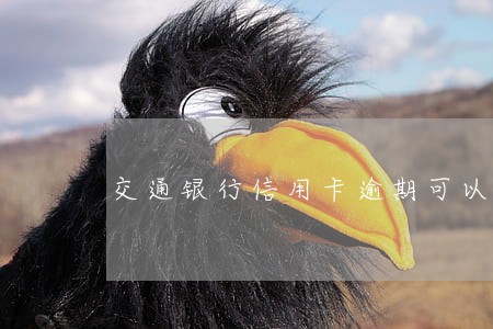 交通银行信用卡逾期可以协商么 交通银行信用卡逾期可以协商么