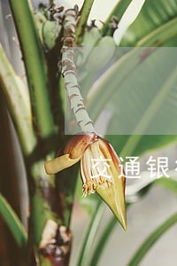 交通银行信用卡逾期可以解卡吗 交通银行信用卡逾期可以解卡吗