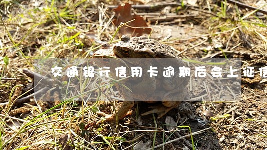 交通银行信用卡逾期后会上征信 交通银行信用卡逾期后会上征信