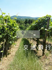 交通银行信用卡逾期后果严重吗 交通银行信用卡逾期后果严重吗