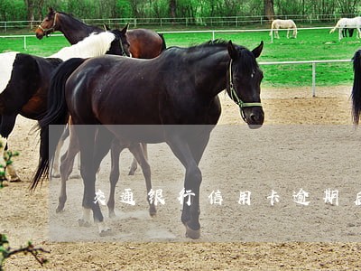 交通银行信用卡逾期后能否解冻 交通银行信用卡逾期后能否解冻