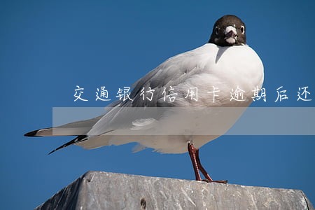 交通银行信用卡逾期后还能协商吗