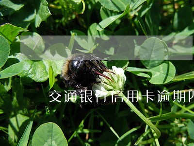 交通银行信用卡逾期四个多月 交通银行信用卡逾期四个多月