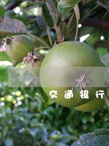 交通银行信用卡逾期四个月未还款 交通银行信用卡逾期四个月未还款