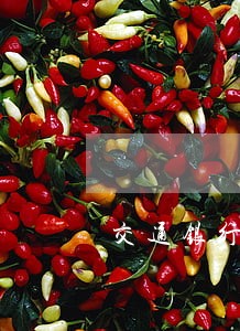 交通银行信用卡逾期多久会被停止 交通银行信用卡逾期多久会被停止