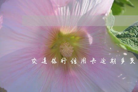 交通银行信用卡逾期多久能使用 交通银行信用卡逾期多久能使用
