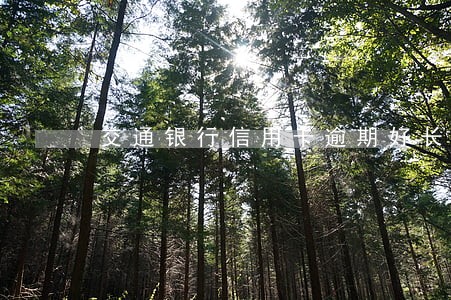 交通银行信用卡逾期好长时间 交通银行信用卡逾期好长时间
