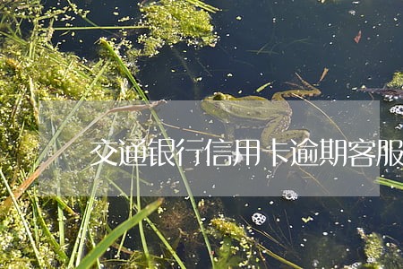 交通银行信用卡逾期客服