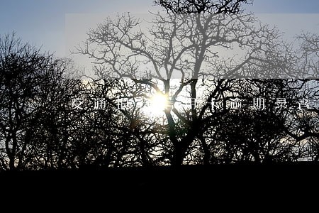 交通银行信用卡逾期录音备案 交通银行信用卡逾期录音备案