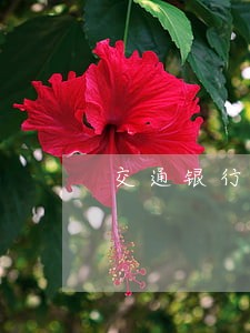 交通银行信用卡逾期怎么免利息