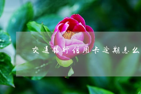 交通银行信用卡逾期怎么样