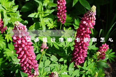 交通银行信用卡逾期怎么解冻